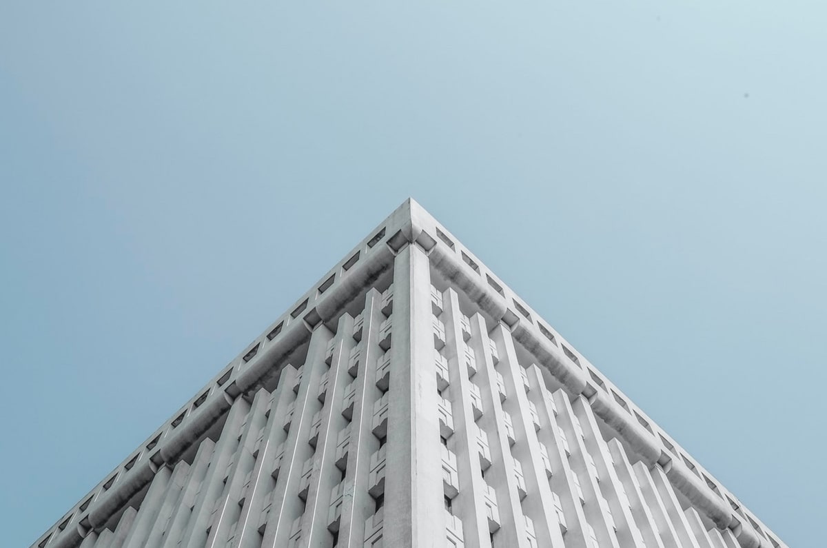 雨燕掠过绿茵场